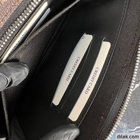 Louis Vuitton Alpha Wearable Wallet