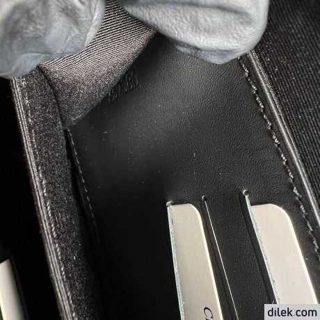 Louis Vuitton Alpha Wearable Wallet