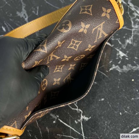Louis Vuitton Diane Monogram