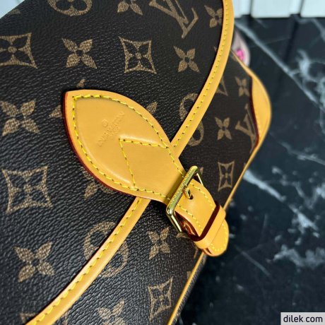 Louis Vuitton Diane Monogram
