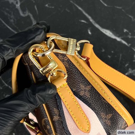 Louis Vuitton Diane Monogram