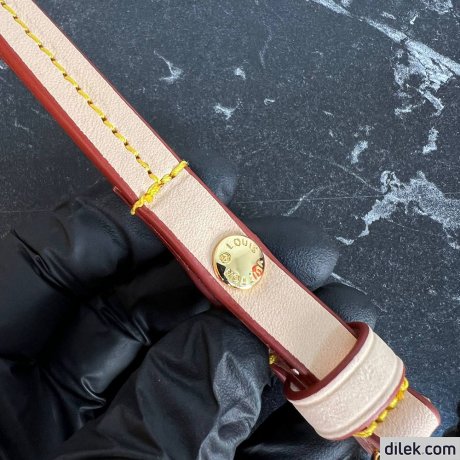 Louis Vuitton Easy Pouch