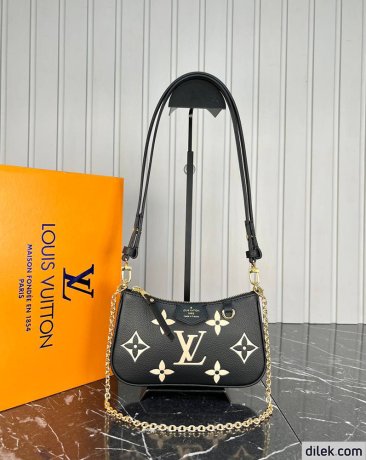 Louis Vuitton Easy Pouch