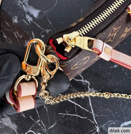 Louis Vuitton Easy Pouch