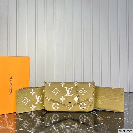 Louis Vuitton Felicie Pochette Monogram