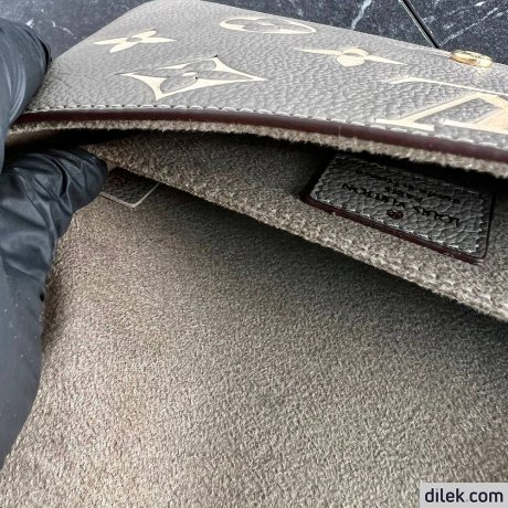 Louis Vuitton Felicie Pochette Monogram