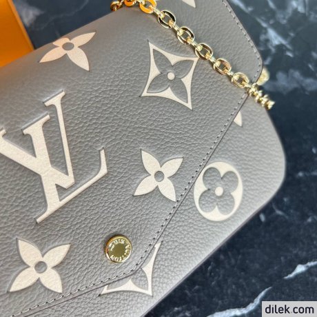Louis Vuitton Felicie Pochette Monogram