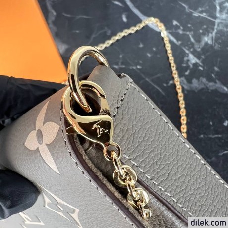 Louis Vuitton Felicie Pochette Monogram