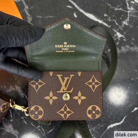 Louis Vuitton Felicie Strap & Go