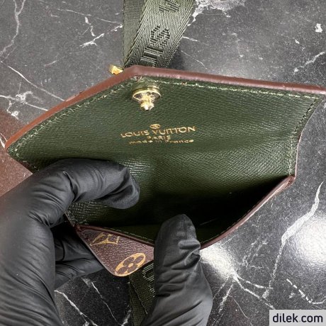 Louis Vuitton Felicie Strap & Go