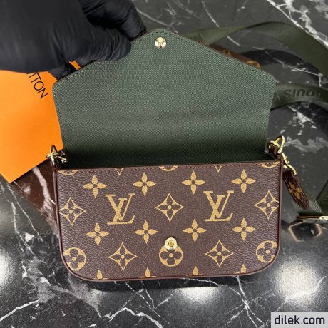 Louis Vuitton Felicie Strap & Go