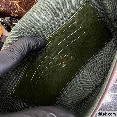 Louis Vuitton Felicie Strap & Go