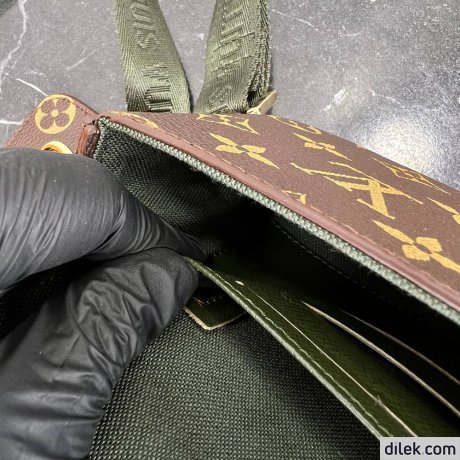 Louis Vuitton Felicie Strap & Go