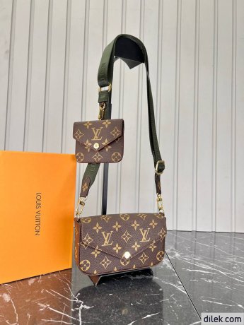 Louis Vuitton Felicie Strap & Go