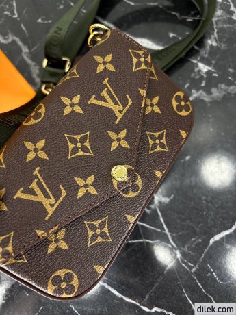Louis Vuitton Felicie Strap & Go