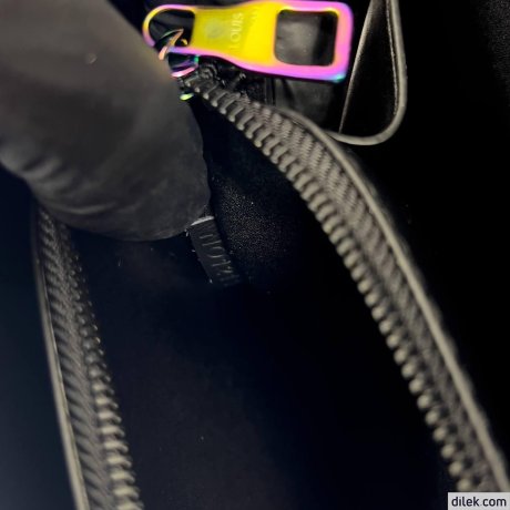 Louis Vuitton Future Trunk