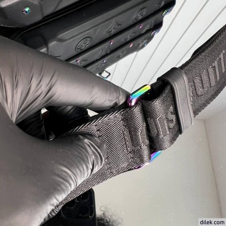 Louis Vuitton Future Trunk