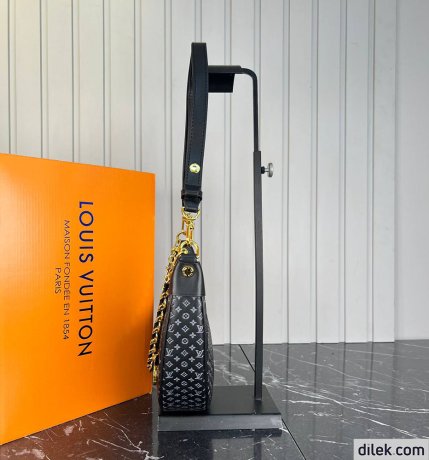 Louis Vuitton Loop