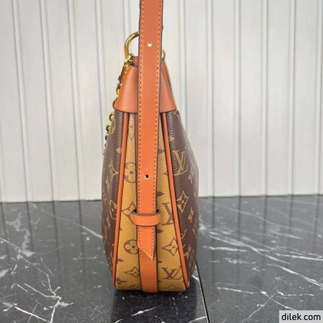 Louis Vuitton Loop Hobo Monogram