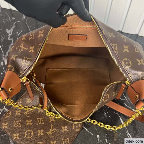 Louis Vuitton Loop Hobo Monogram