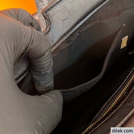 Louis Vuitton LV Twinny