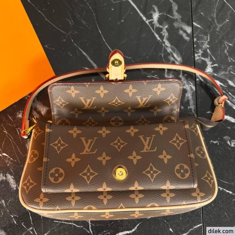 Louis Vuitton Maxi Multi Pochette Accessoires