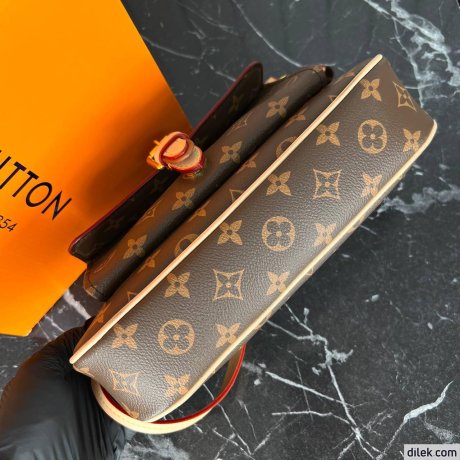 Louis Vuitton Maxi Multi Pochette Accessoires