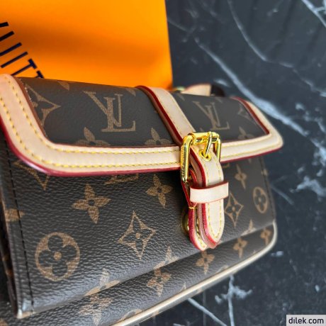 Louis Vuitton Maxi Multi Pochette Accessoires