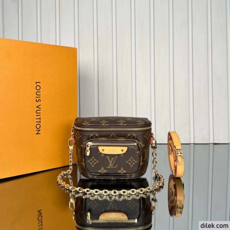 Louis Vuitton Mini Bumbag
