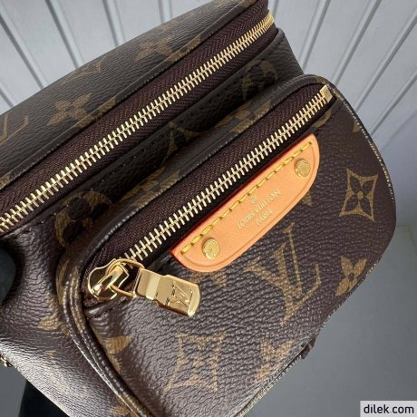 Louis Vuitton Mini Bumbag