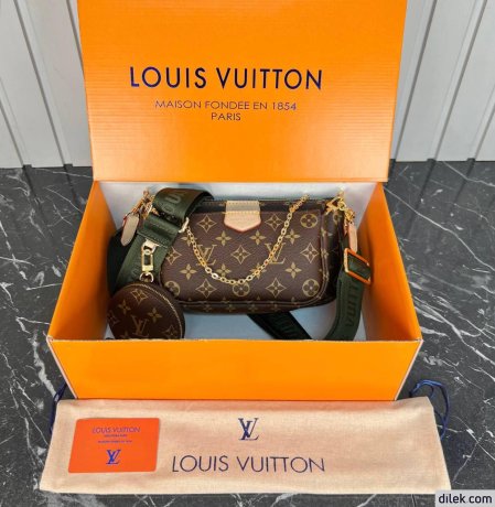 Louis Vuitton Multi Pochette