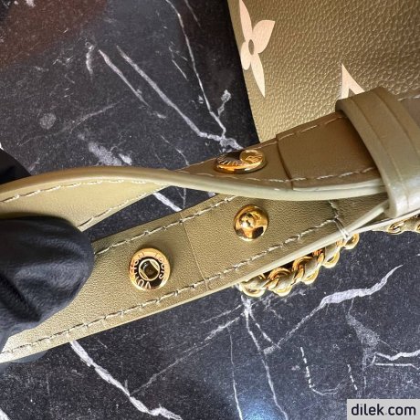 Louis Vuitton Multi Pochette Accessoires