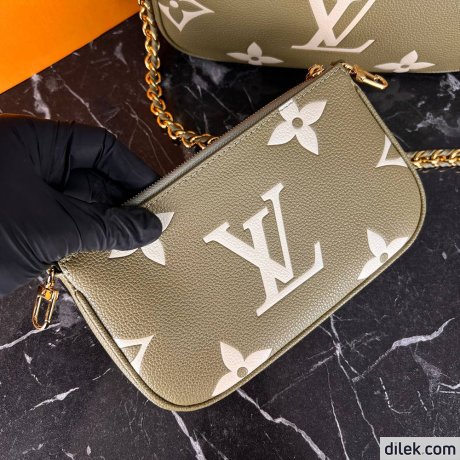Louis Vuitton Multi Pochette Accessoires