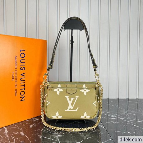 Louis Vuitton Multi Pochette Accessoires