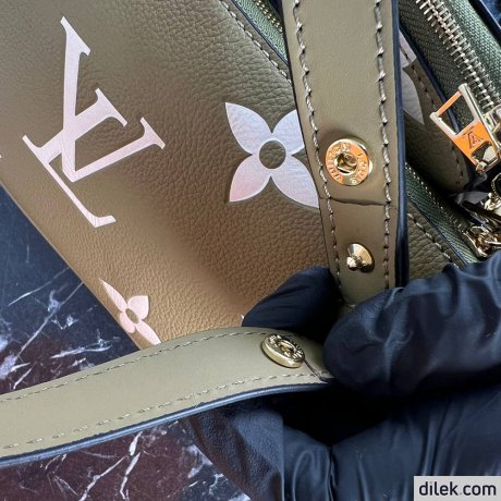 Louis Vuitton Multi Pochette Accessoires