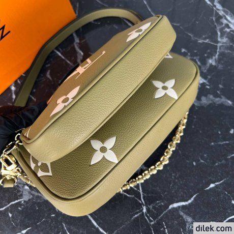 Louis Vuitton Multi Pochette Accessoires