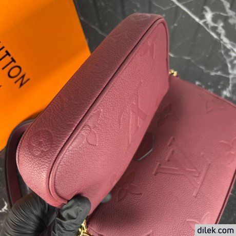 Louis Vuitton Multi Pochette Accessoires