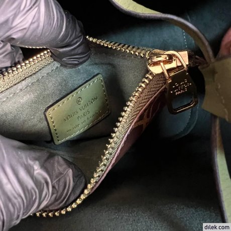 Louis Vuitton Neonoe MM