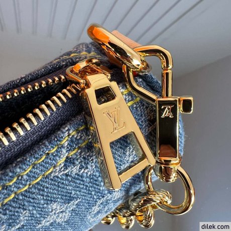 Louis Vuitton Papillon