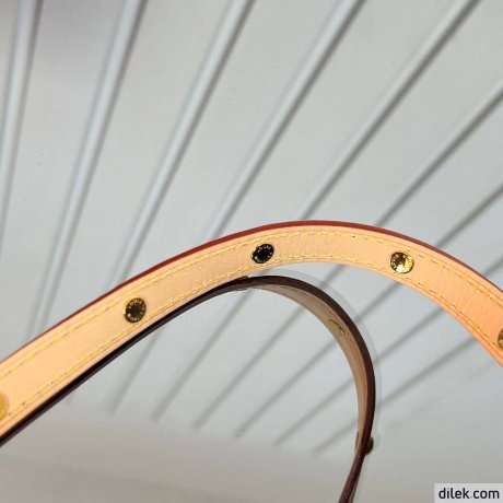 Louis Vuitton Papillon