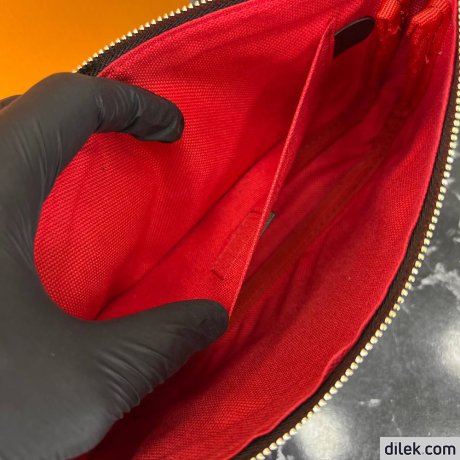 Louis Vuitton Pochette Accessoires