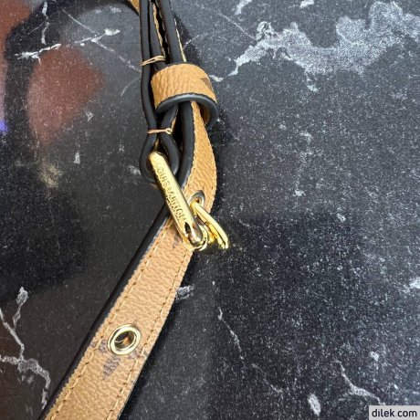 Louis Vuitton Pochette Metis