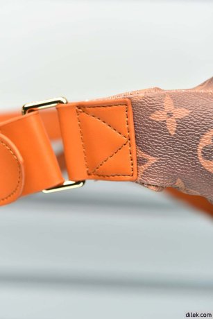 Louis Vuitton Rush Bumbag