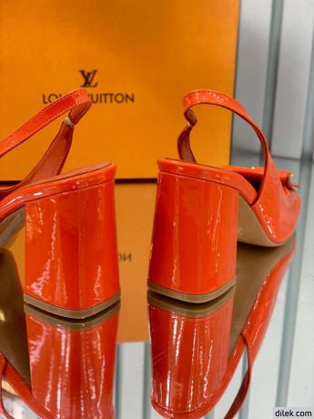Louis Vuitton Shake Pumps
