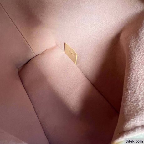 Louis Vuitton Side Trunk MM