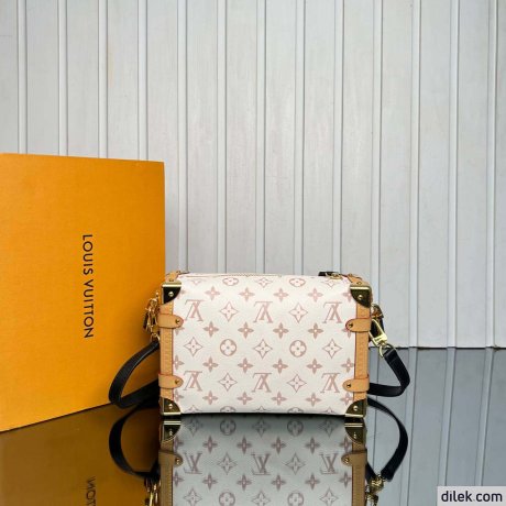 Louis Vuitton Side Trunk MM