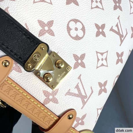 Louis Vuitton Side Trunk MM