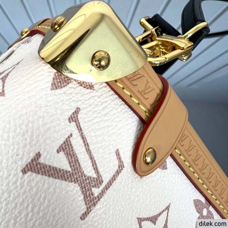 Louis Vuitton Side Trunk MM