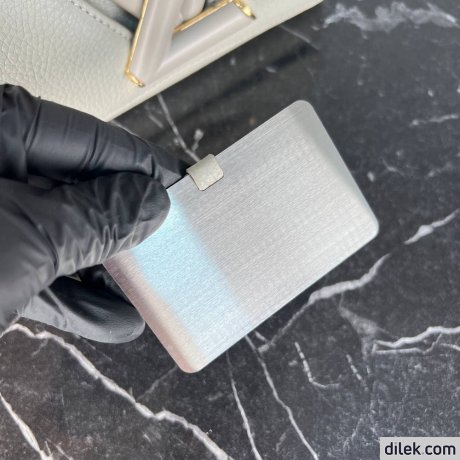 Louis Vuitton Twist PM