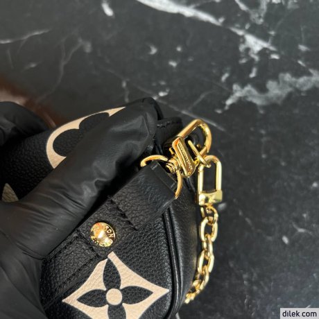 Louis Vuitton Wallet on Chain Ivy Bicolor Monogram